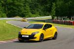 Renault Megane RS 250 2010 года